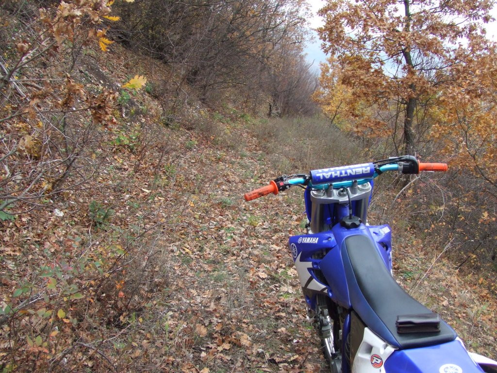 Натиснете снимката за да я уголемите

Име:DSCF3727.jpg
Прегледи:1
Размер:303.3 КБ
ID:5431520