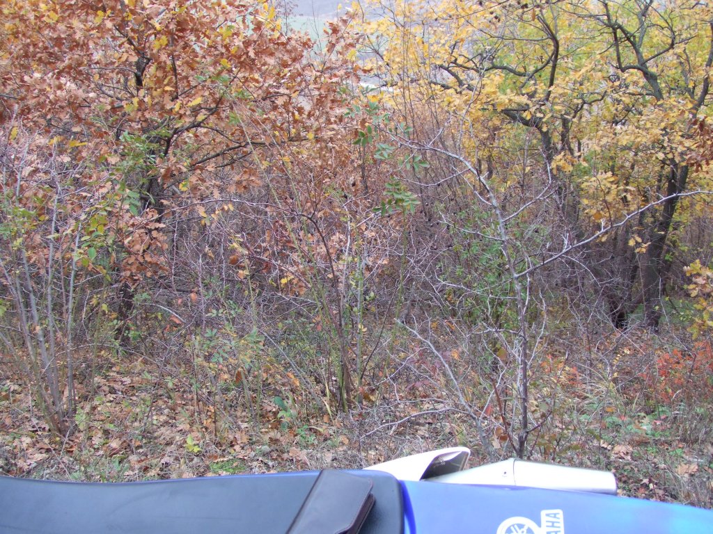 Натиснете снимката за да я уголемите

Име:DSCF3729.jpg
Прегледи:1
Размер:305.0 КБ
ID:5431522