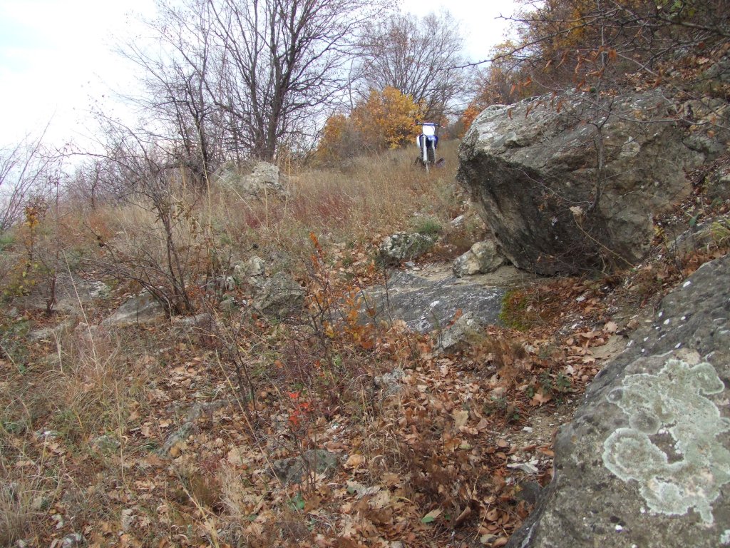 Натиснете снимката за да я уголемите

Име:DSCF3738.jpg
Прегледи:1
Размер:281.5 КБ
ID:5431531