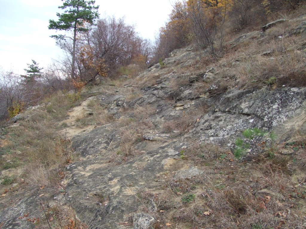 Натиснете снимката за да я уголемите

Име:DSCF3740.jpg
Прегледи:1
Размер:261.1 КБ
ID:5431533