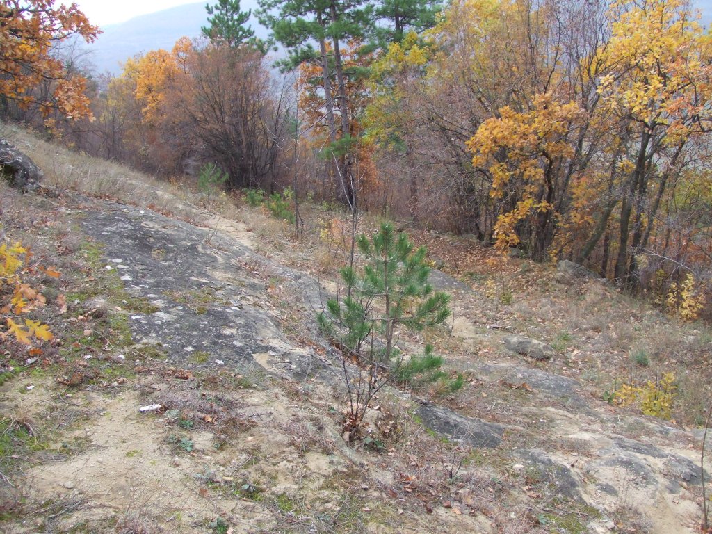 Натиснете снимката за да я уголемите

Име:DSCF3743.jpg
Прегледи:1
Размер:281.9 КБ
ID:5431536