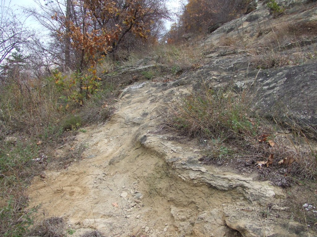 Натиснете снимката за да я уголемите

Име:DSCF3744.jpg
Прегледи:1
Размер:292.1 КБ
ID:5431537