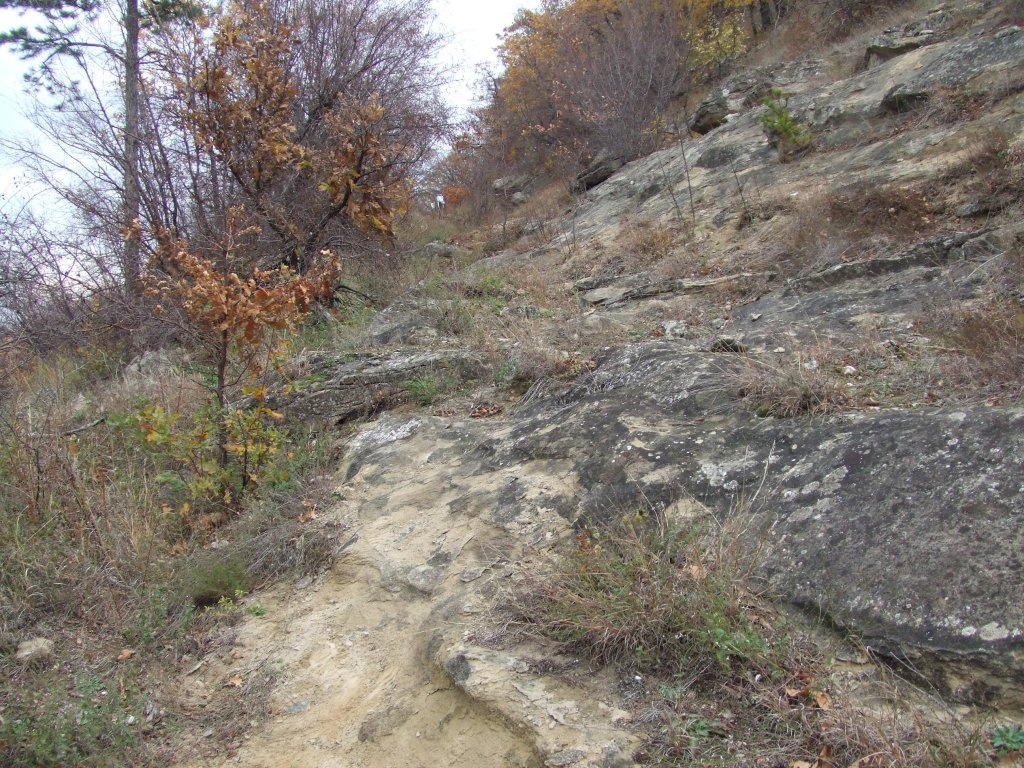 Натиснете снимката за да я уголемите

Име:DSCF3745.jpg
Прегледи:1
Размер:280.7 КБ
ID:5431538