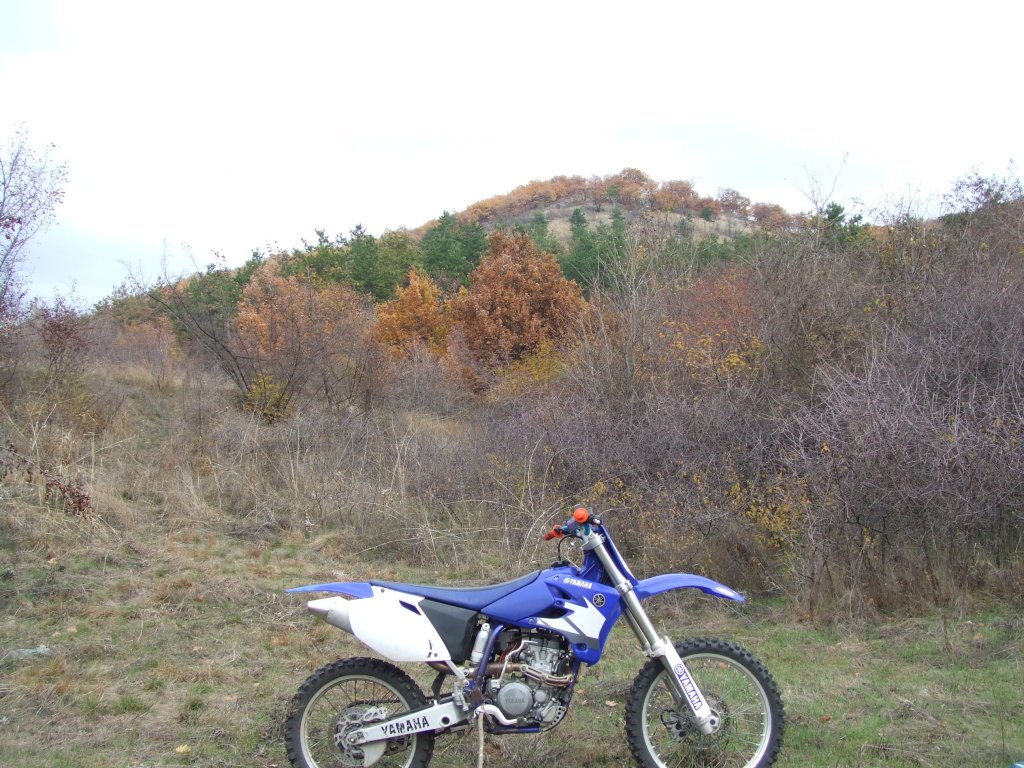 Натиснете снимката за да я уголемите

Име:DSCF3752.jpg
Прегледи:1
Размер:193.9 КБ
ID:5431545