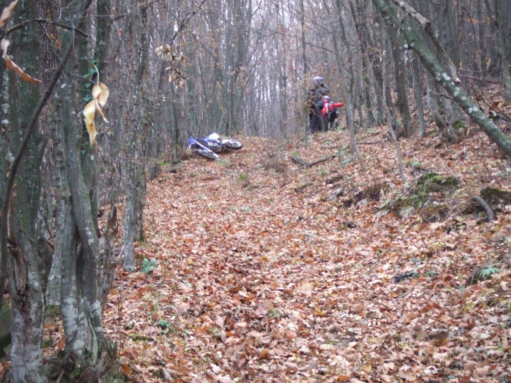 Натиснете снимката за да я уголемите

Име:DSCF3775.jpg
Прегледи:1
Размер:246.2 КБ
ID:5431553