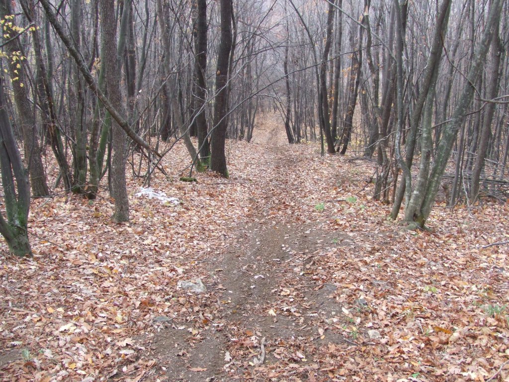 Натиснете снимката за да я уголемите

Име:DSCF3762.jpg
Прегледи:1
Размер:309.0 КБ
ID:5431554