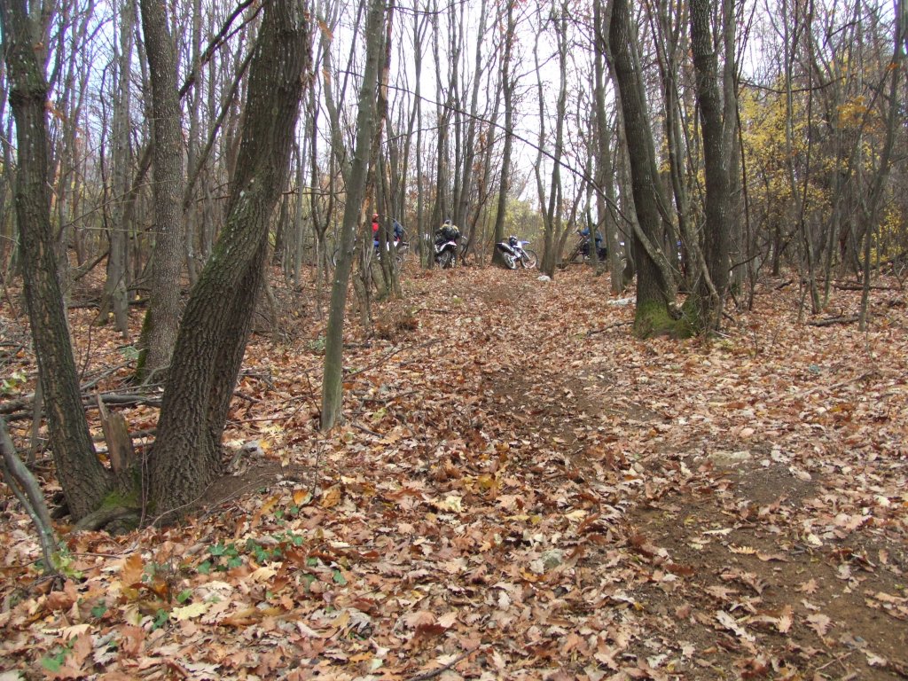 Натиснете снимката за да я уголемите

Име:DSCF3765.jpg
Прегледи:1
Размер:306.2 КБ
ID:5431557