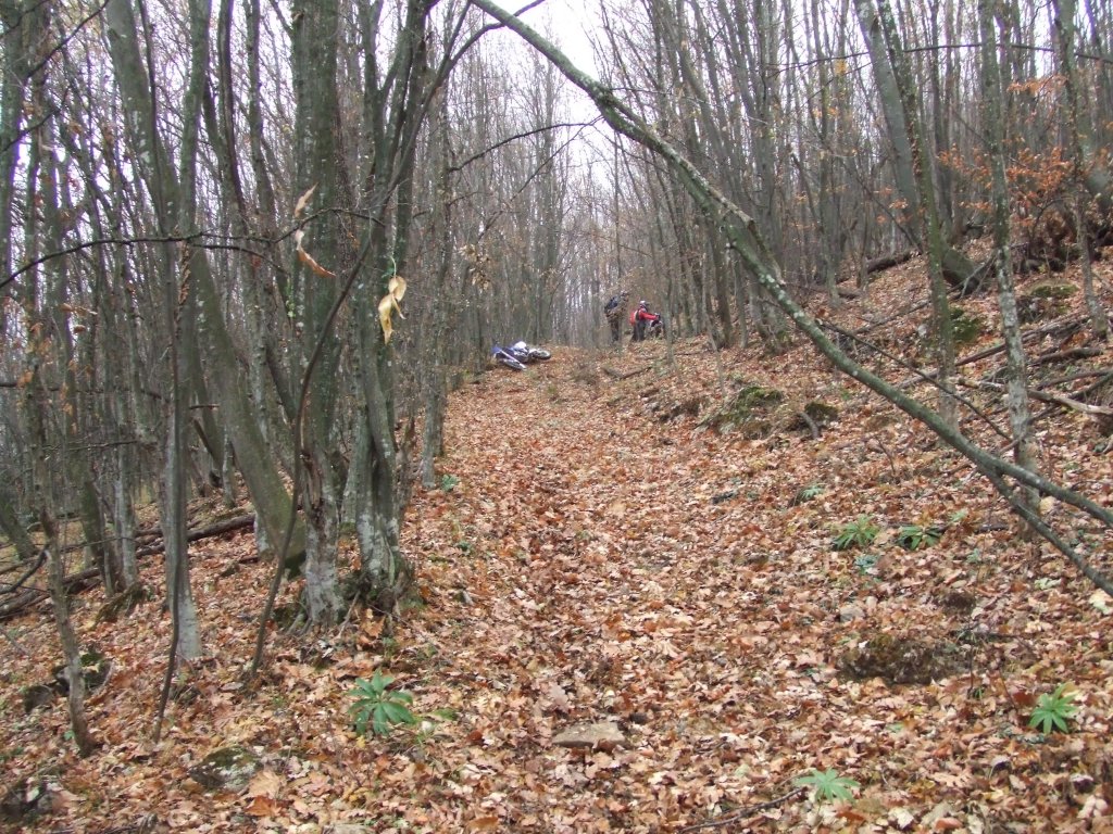 Натиснете снимката за да я уголемите

Име:DSCF3774.jpg
Прегледи:1
Размер:297.6 КБ
ID:5431558