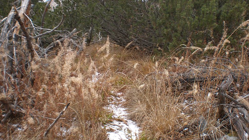 Натиснете снимката за да я уголемите

Име:PC020133.jpg
Прегледи:1
Размер:149.4 КБ
ID:5432497