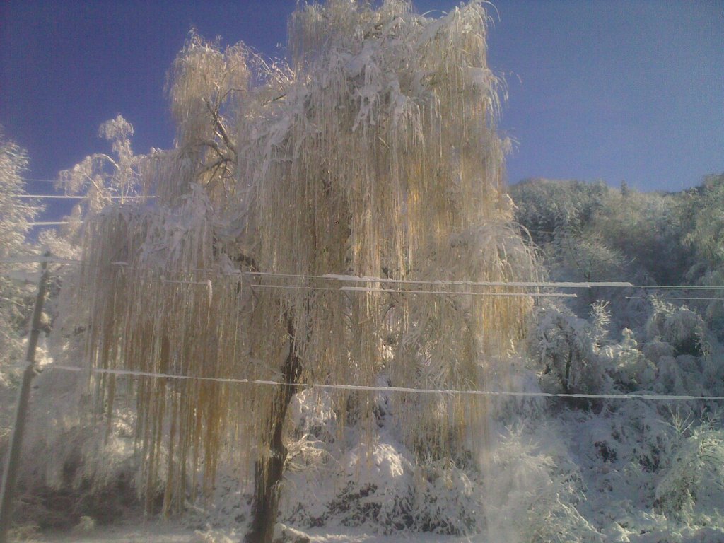 Натиснете снимката за да я уголемите

Име:041220121488.jpg
Прегледи:1
Размер:154.7 КБ
ID:5432721