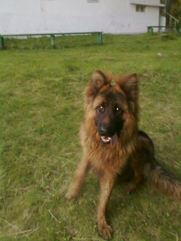 Натиснете снимката за да я уголемите

Име:060620122042.jpg
Прегледи:1
Размер:68.7 КБ
ID:5433265