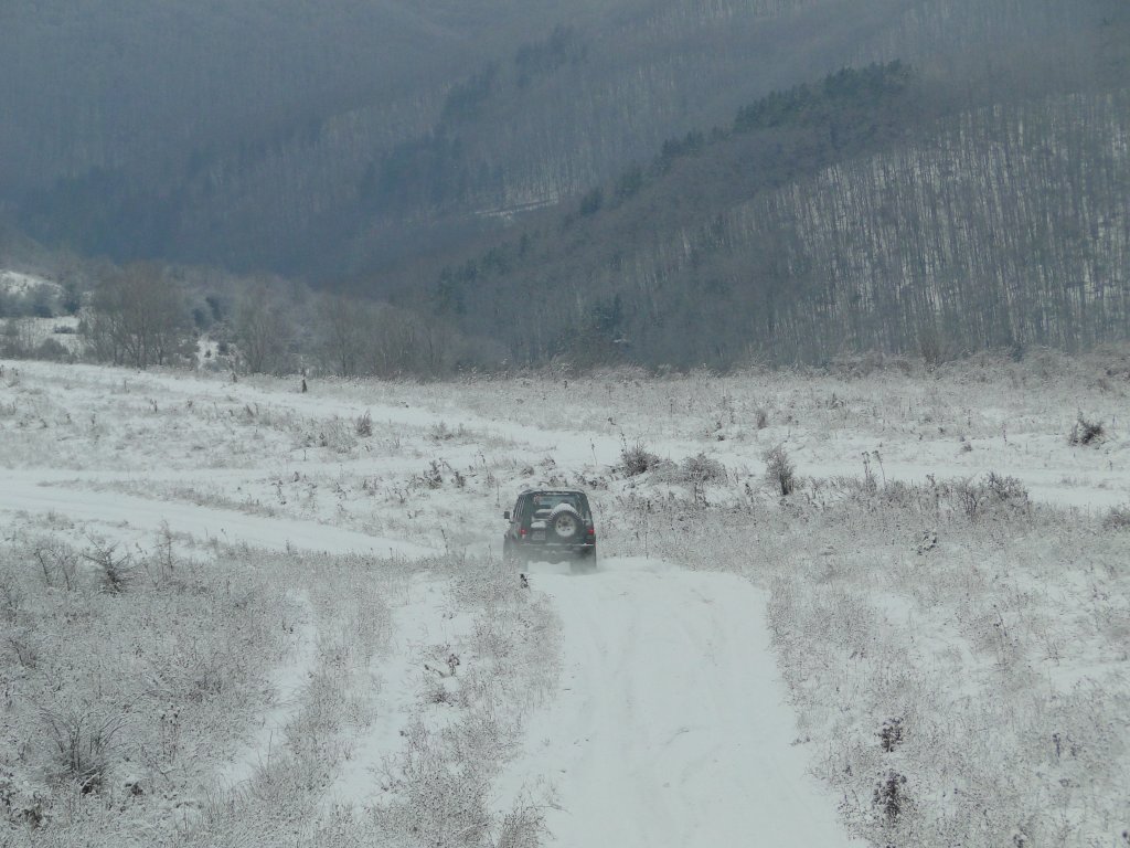 Натиснете снимката за да я уголемите

Име:DSC00462.jpg
Прегледи:2
Размер:146.7 КБ
ID:5433716