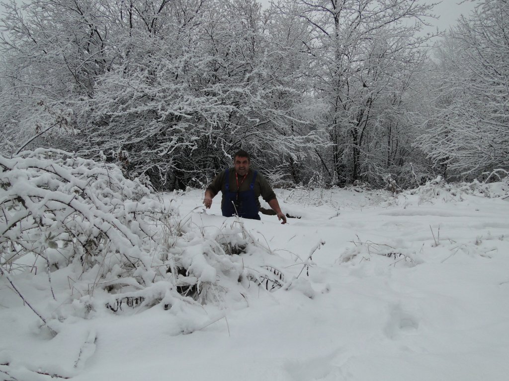 Натиснете снимката за да я уголемите

Име:DSC00446.jpg
Прегледи:2
Размер:208.7 КБ
ID:5433717