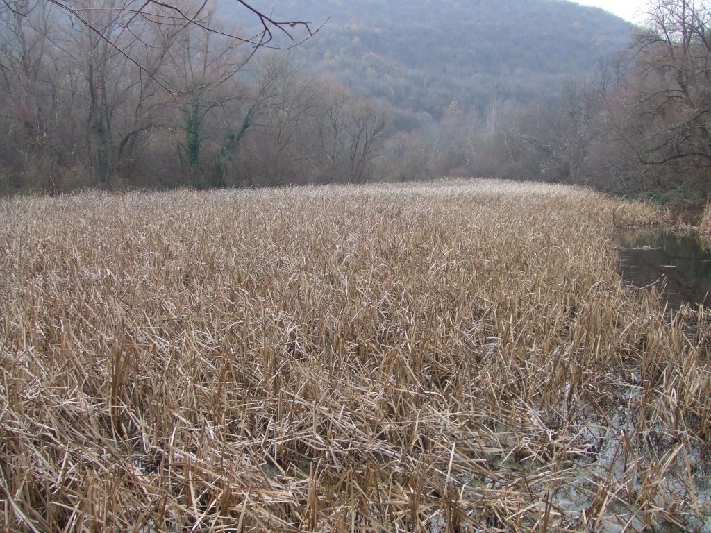 Натиснете снимката за да я уголемите

Име:DSCF3823.jpg
Прегледи:1
Размер:263.1 КБ
ID:5433765