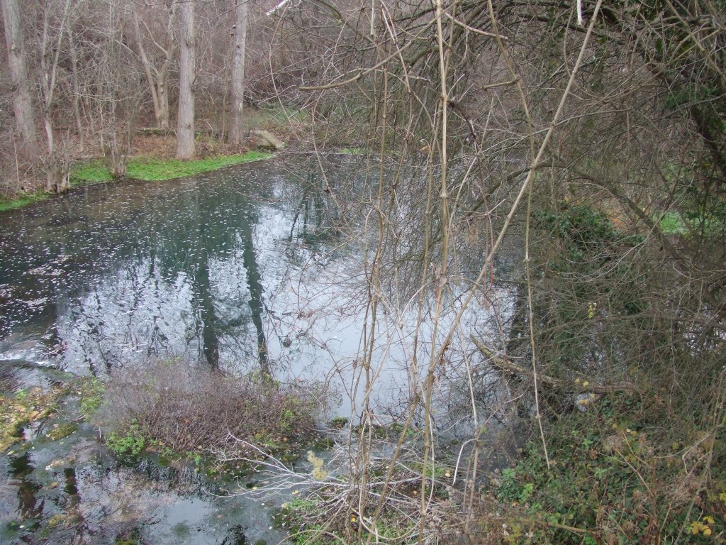 Натиснете снимката за да я уголемите

Име:DSCF3826.jpg
Прегледи:1
Размер:290.6 КБ
ID:5433769