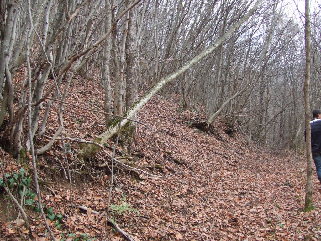 Натиснете снимката за да я уголемите

Име:DSCF3833.jpg
Прегледи:1
Размер:331.4 КБ
ID:5433772