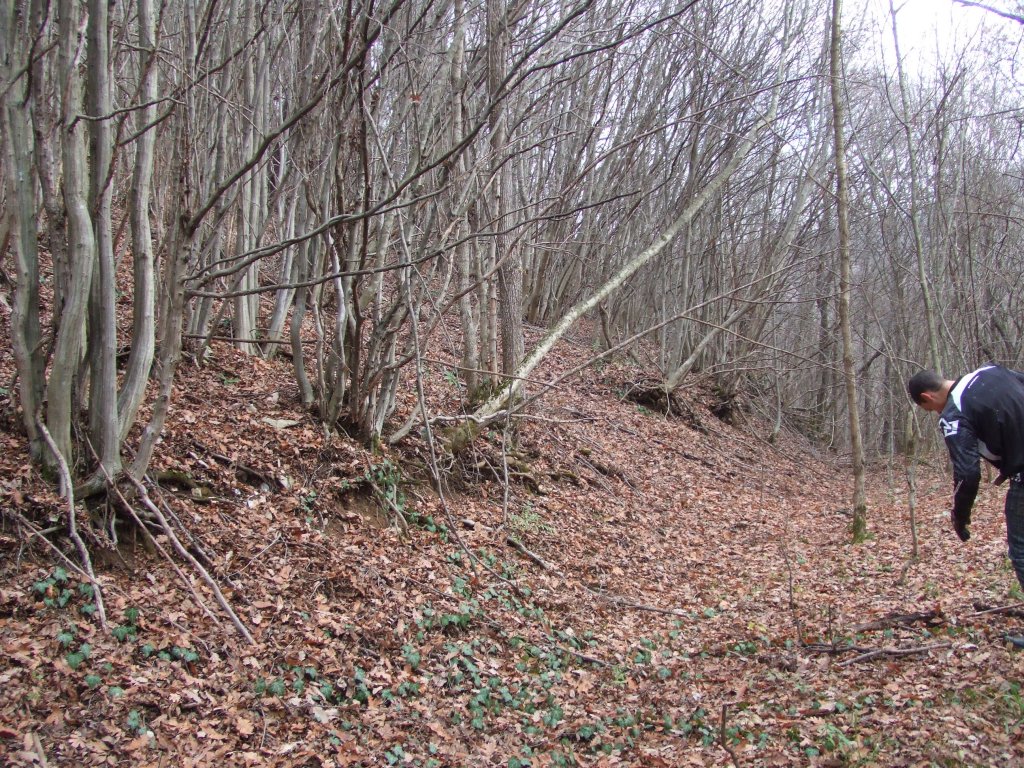 Натиснете снимката за да я уголемите

Име:DSCF3829.jpg
Прегледи:1
Размер:331.4 КБ
ID:5433773