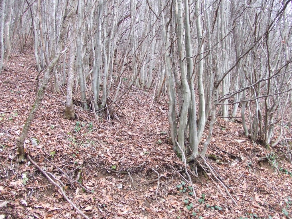 Натиснете снимката за да я уголемите

Име:DSCF3830.jpg
Прегледи:1
Размер:337.6 КБ
ID:5433774