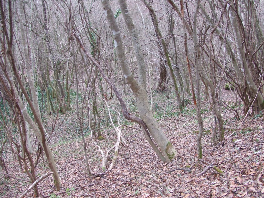 Натиснете снимката за да я уголемите

Име:DSCF3831.jpg
Прегледи:1
Размер:322.1 КБ
ID:5433775