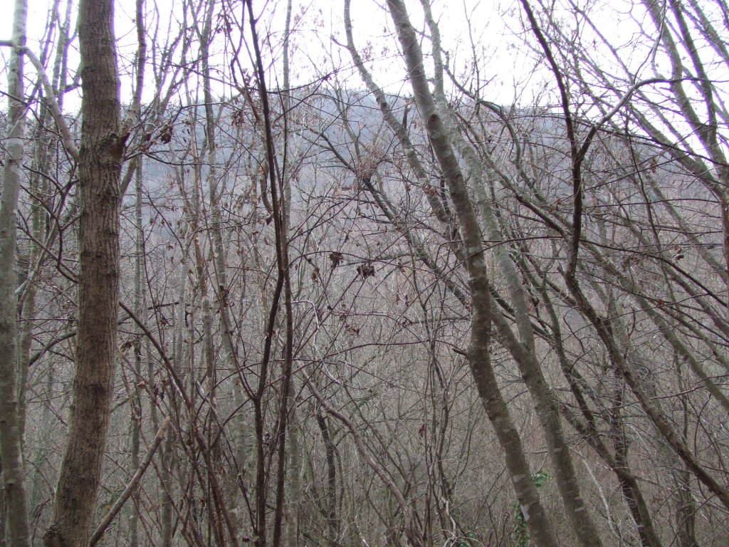 Натиснете снимката за да я уголемите

Име:DSCF3832.jpg
Прегледи:1
Размер:286.9 КБ
ID:5433776