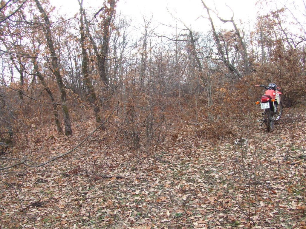 Натиснете снимката за да я уголемите

Име:DSCF3850.jpg
Прегледи:1
Размер:325.7 КБ
ID:5433786