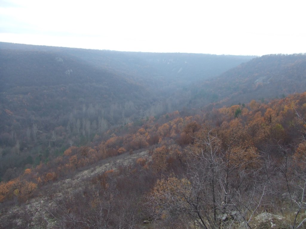 Натиснете снимката за да я уголемите

Име:DSCF3846.jpg
Прегледи:1
Размер:113.7 КБ
ID:5433789