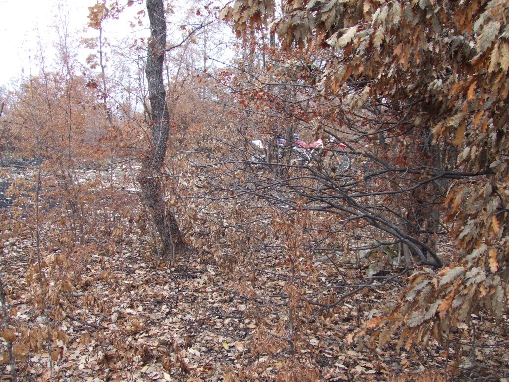 Натиснете снимката за да я уголемите

Име:DSCF3847.jpg
Прегледи:1
Размер:320.0 КБ
ID:5433790