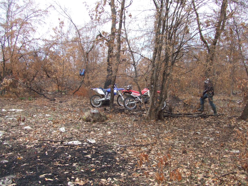 Натиснете снимката за да я уголемите

Име:DSCF3848.jpg
Прегледи:1
Размер:328.9 КБ
ID:5433791