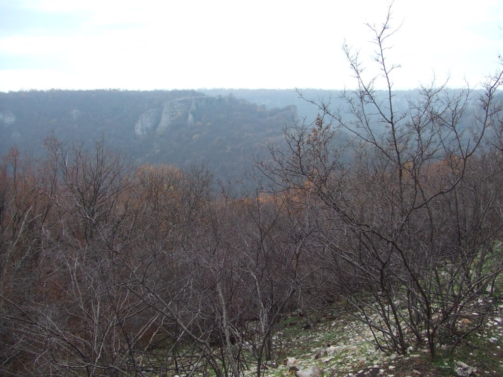 Натиснете снимката за да я уголемите

Име:DSCF3854.jpg
Прегледи:1
Размер:187.7 КБ
ID:5433797