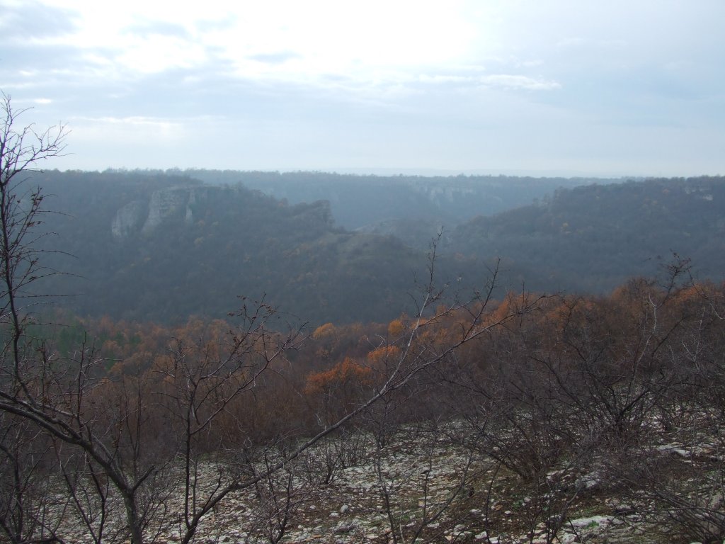 Натиснете снимката за да я уголемите

Име:DSCF3855.jpg
Прегледи:1
Размер:132.9 КБ
ID:5433798