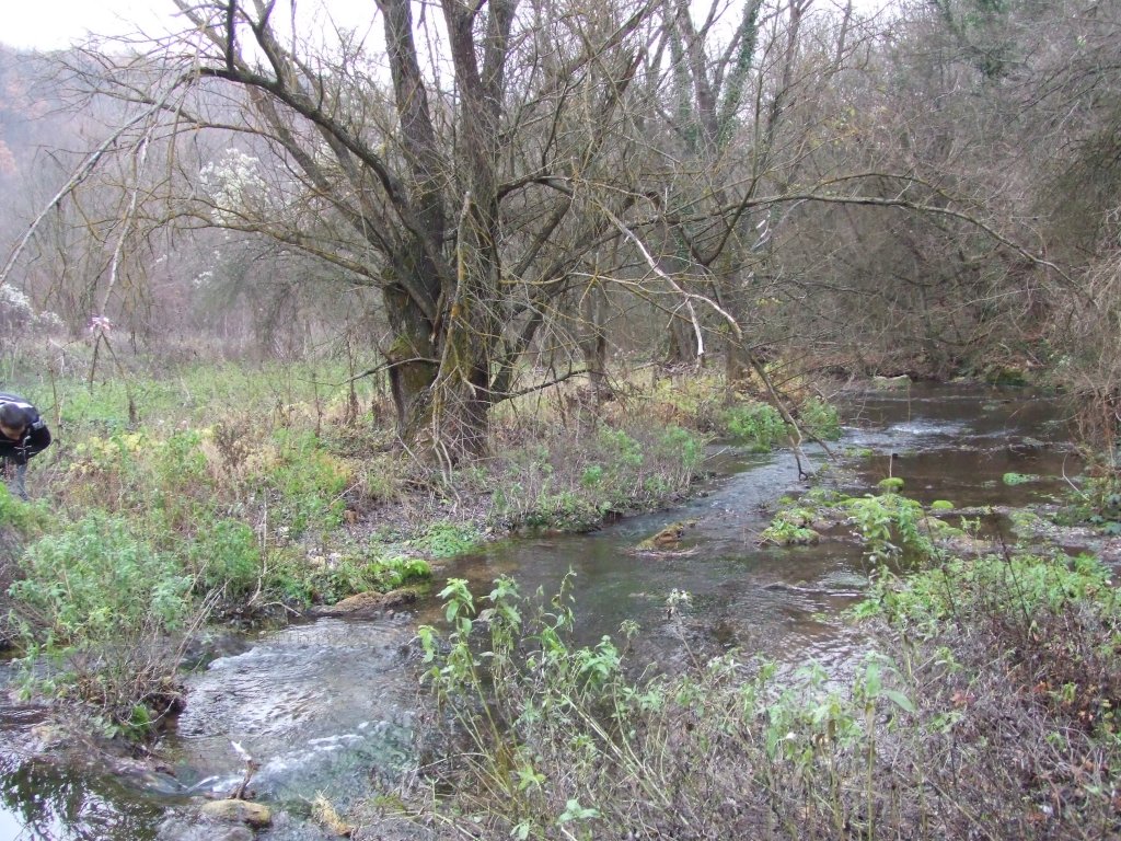 Натиснете снимката за да я уголемите

Име:DSCF3869.jpg
Прегледи:1
Размер:277.3 КБ
ID:5433801