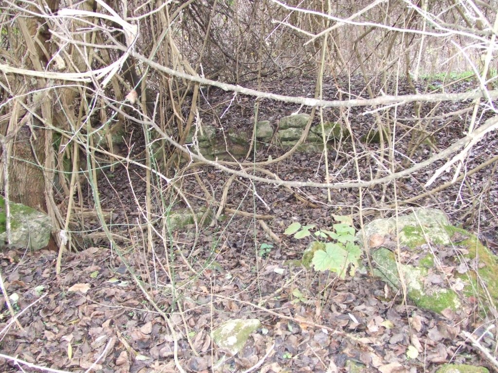 Натиснете снимката за да я уголемите

Име:DSCF3859.jpg
Прегледи:1
Размер:305.1 КБ
ID:5433802