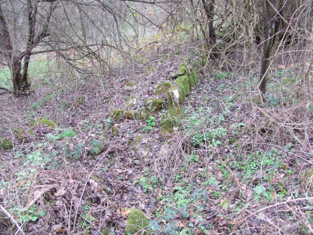 Натиснете снимката за да я уголемите

Име:DSCF3860.jpg
Прегледи:1
Размер:347.4 КБ
ID:5433803