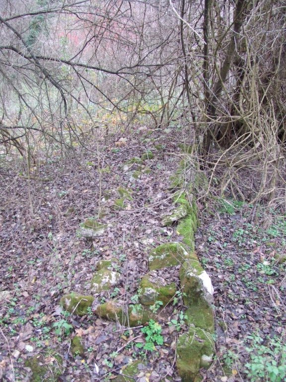 Натиснете снимката за да я уголемите

Име:DSCF3861.jpg
Прегледи:1
Размер:188.3 КБ
ID:5433804