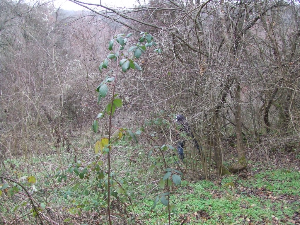 Натиснете снимката за да я уголемите

Име:DSCF3862.jpg
Прегледи:1
Размер:304.3 КБ
ID:5433805