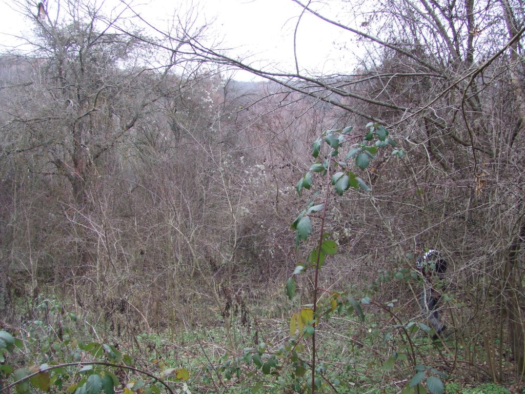 Натиснете снимката за да я уголемите

Име:DSCF3863.jpg
Прегледи:1
Размер:286.9 КБ
ID:5433806