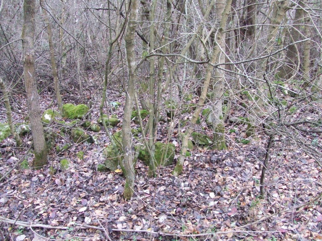 Натиснете снимката за да я уголемите

Име:DSCF3864.jpg
Прегледи:1
Размер:335.0 КБ
ID:5433807