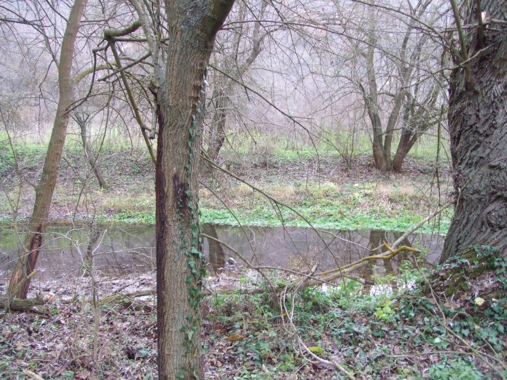 Натиснете снимката за да я уголемите

Име:DSCF3865.jpg
Прегледи:1
Размер:283.7 КБ
ID:5433808