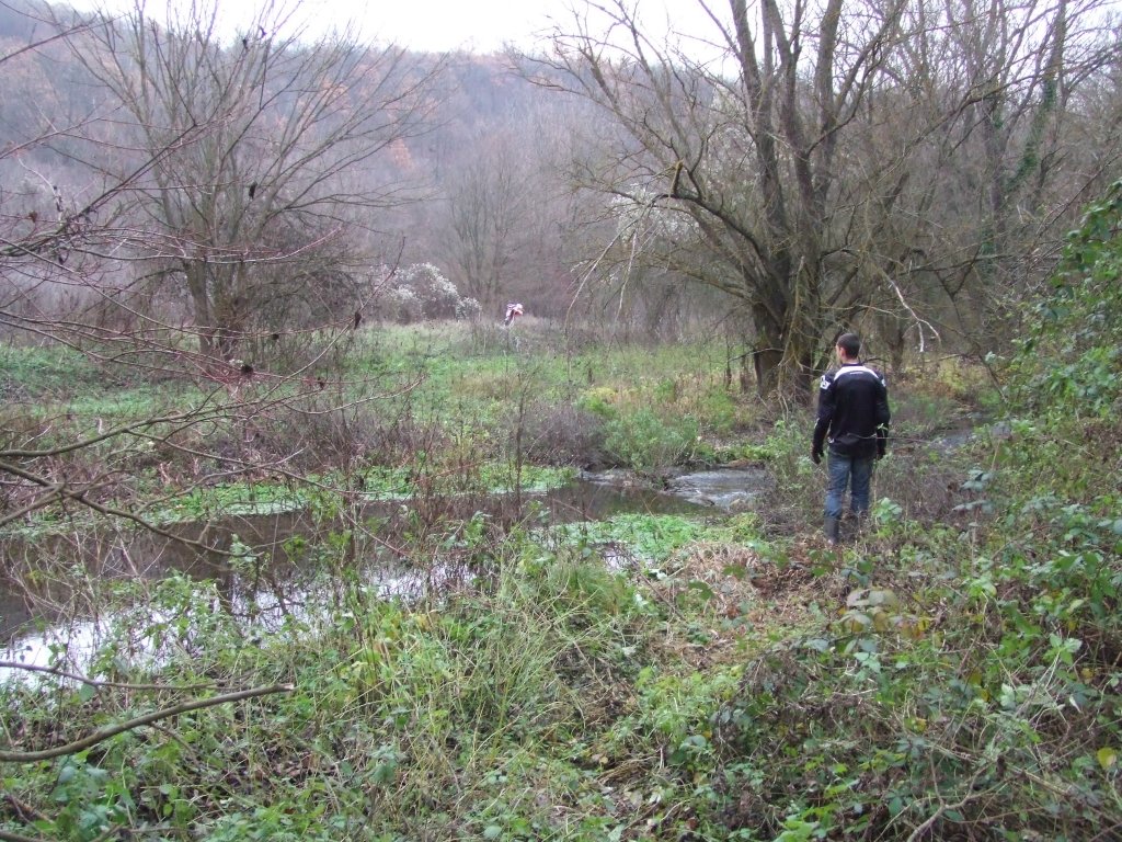 Натиснете снимката за да я уголемите

Име:DSCF3866.jpg
Прегледи:1
Размер:272.6 КБ
ID:5433809