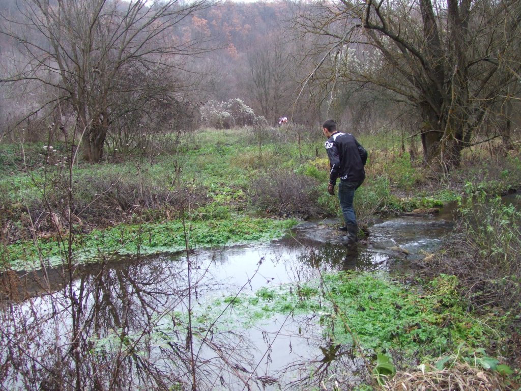 Натиснете снимката за да я уголемите

Име:DSCF3867.jpg
Прегледи:1
Размер:277.6 КБ
ID:5433810