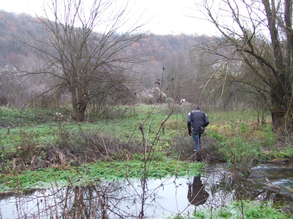 Натиснете снимката за да я уголемите

Име:DSCF3868.jpg
Прегледи:1
Размер:241.5 КБ
ID:5433811