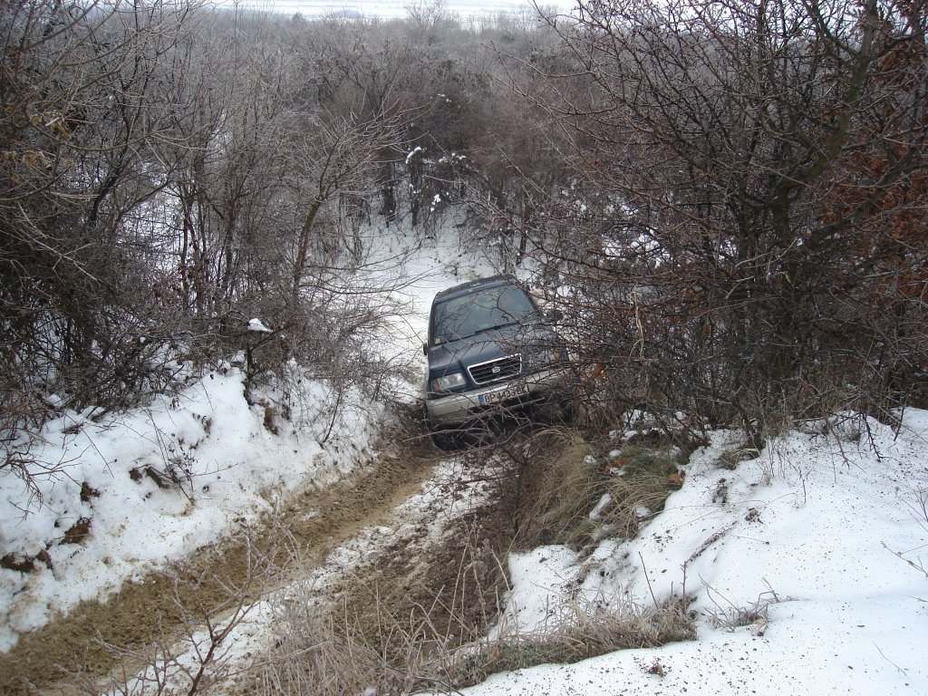 Натиснете снимката за да я уголемите

Име:DSC01237.jpg
Прегледи:1
Размер:295.4 КБ
ID:5436137