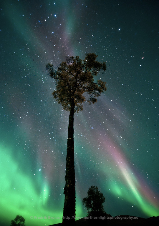 Натиснете снимката за да я уголемите

Име:aurora2012sep20v2XLbroms.jpg
Прегледи:1
Размер:115.2 КБ
ID:5995869
