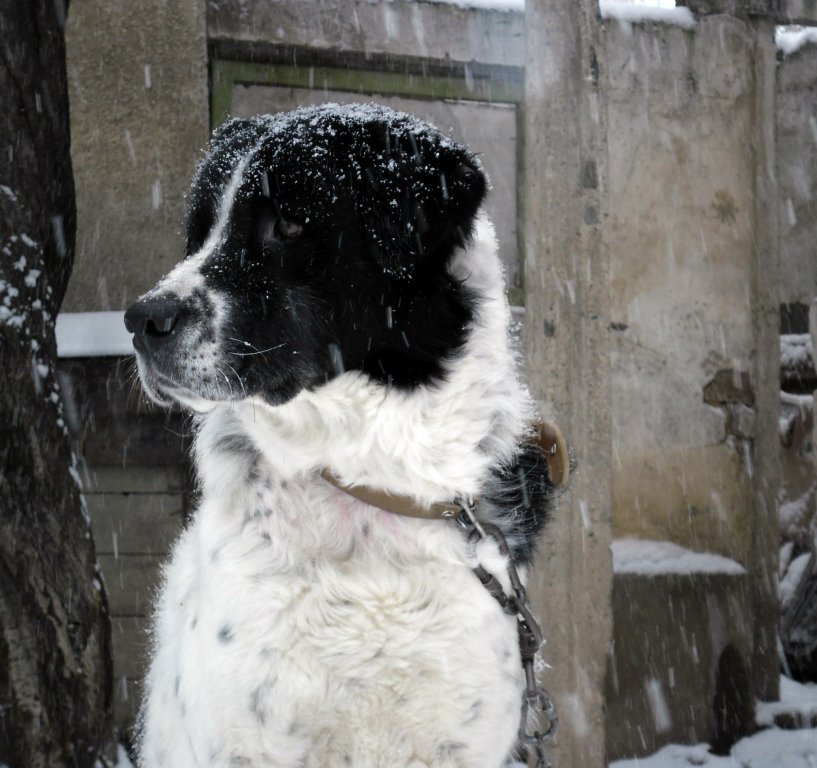 Натиснете снимката за да я уголемите

Име:SAM_3277.jpg
Прегледи:1
Размер:108.5 КБ
ID:5436409