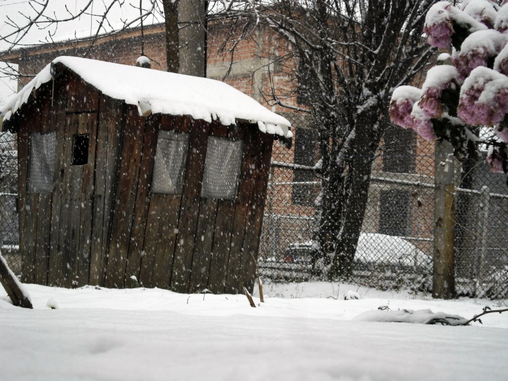 Натиснете снимката за да я уголемите

Име:SAM_3278.jpg
Прегледи:1
Размер:191.9 КБ
ID:5436410