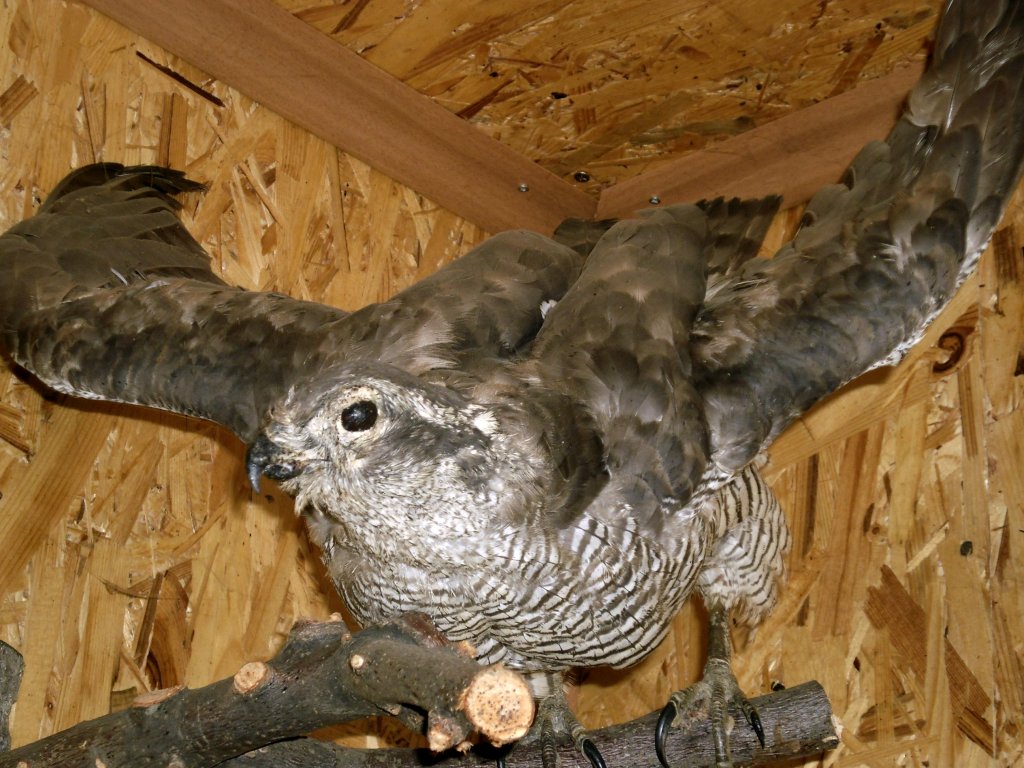 Натиснете снимката за да я уголемите

Име:SAM_3336.jpg
Прегледи:1
Размер:174.3 КБ
ID:5437042