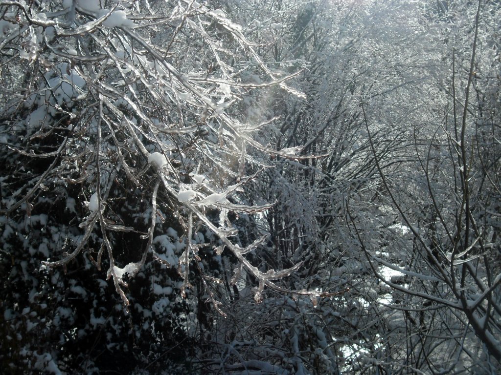 Натиснете снимката за да я уголемите

Име:SAM_3358.jpg
Прегледи:1
Размер:270.5 КБ
ID:5437044