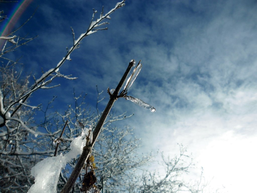 Натиснете снимката за да я уголемите

Име:SAM_3360.jpg
Прегледи:1
Размер:108.6 КБ
ID:5437045