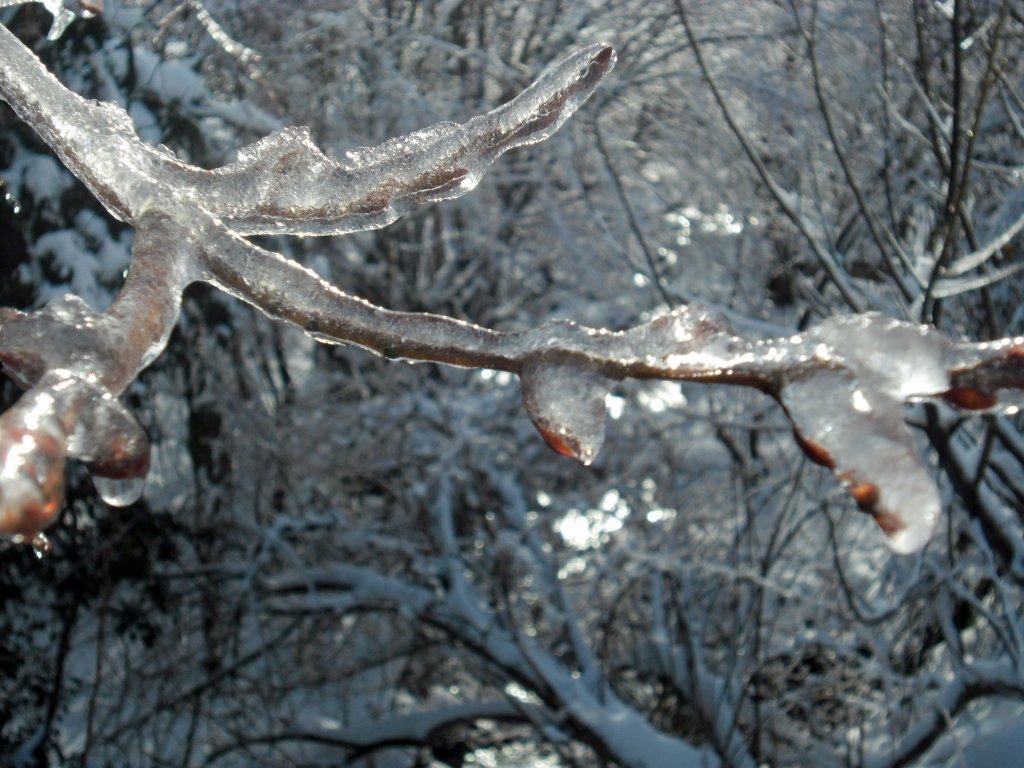 Натиснете снимката за да я уголемите

Име:SAM_3362.jpg
Прегледи:1
Размер:148.5 КБ
ID:5437046