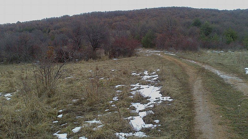 Натиснете снимката за да я уголемите

Име:DSC_0058.jpg
Прегледи:1
Размер:132.2 КБ
ID:5437731